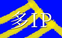 服務(wù)器租用|美國(guó)多ip站群如何選擇以及能做什